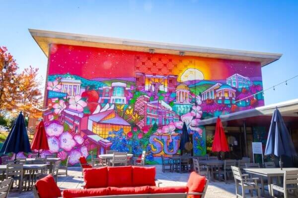 Mural outside of Allen Dining Hall, painted by artist Sarah Callahan, featuring bright, rich colors, including a sunrise/sunset, pink and blue blossoms, and iconic Shenandoah and Winchester structures.