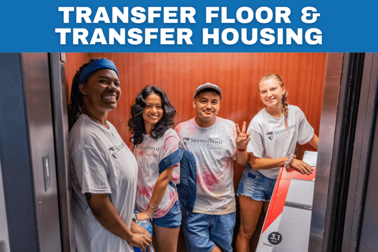 Transfer majors graphic