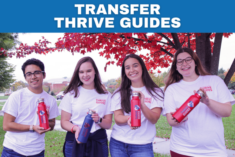 Transfer majors graphic