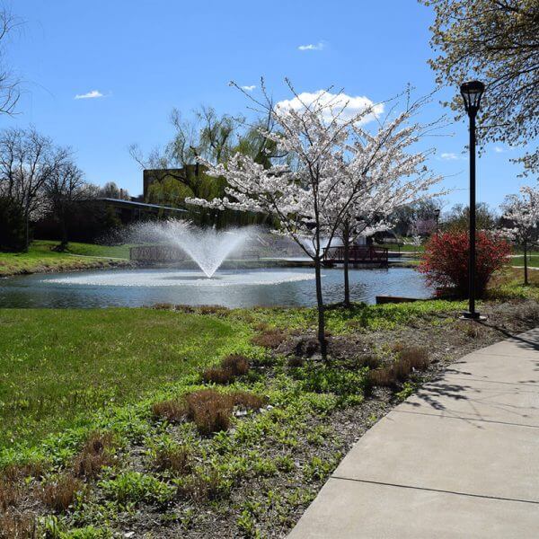 A spring day on campus