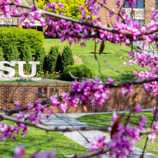 Photo of campus in Spring