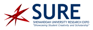 SURE logo