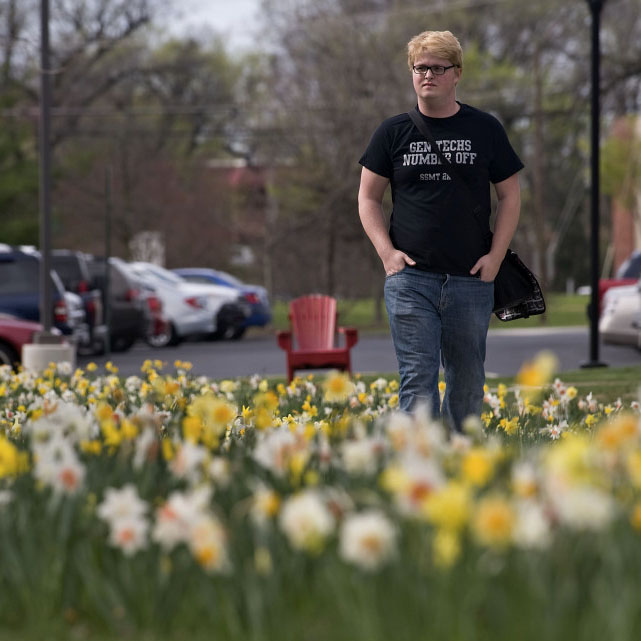 Student walking among campus daffodils