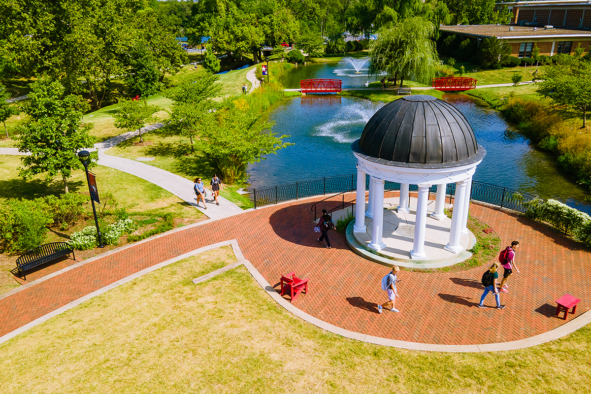 Drone shot Silver
