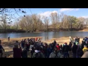 Bald Eagle Release