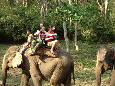 SU group riding elephants 