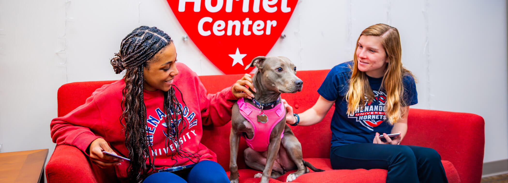 Healthy Hornets slide show