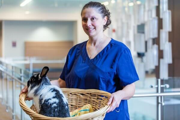 Shenandoah University Assistant Professor of Nursing Beth Ballenger with one of her therapy bunnies (in a basket).