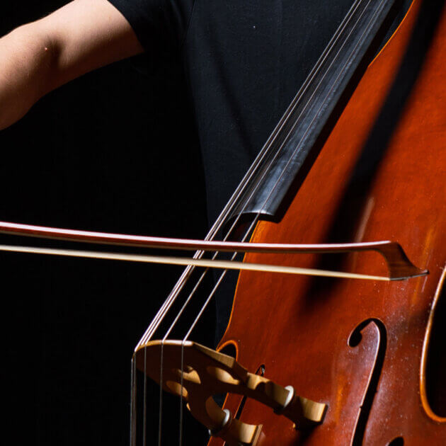 Double Bass