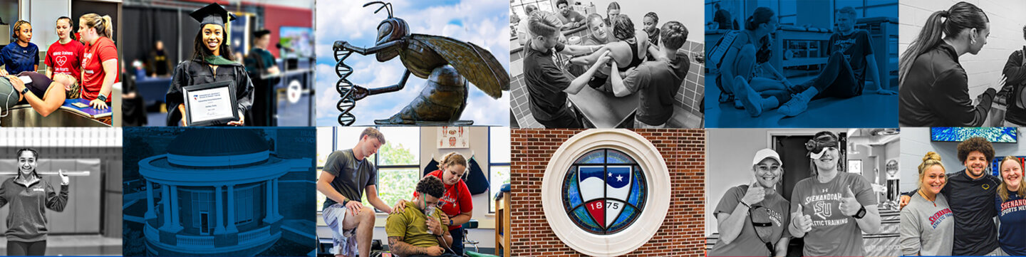 Header image for the DPT to MSAT bridge program | picture is a collage featuring students and campus buildings