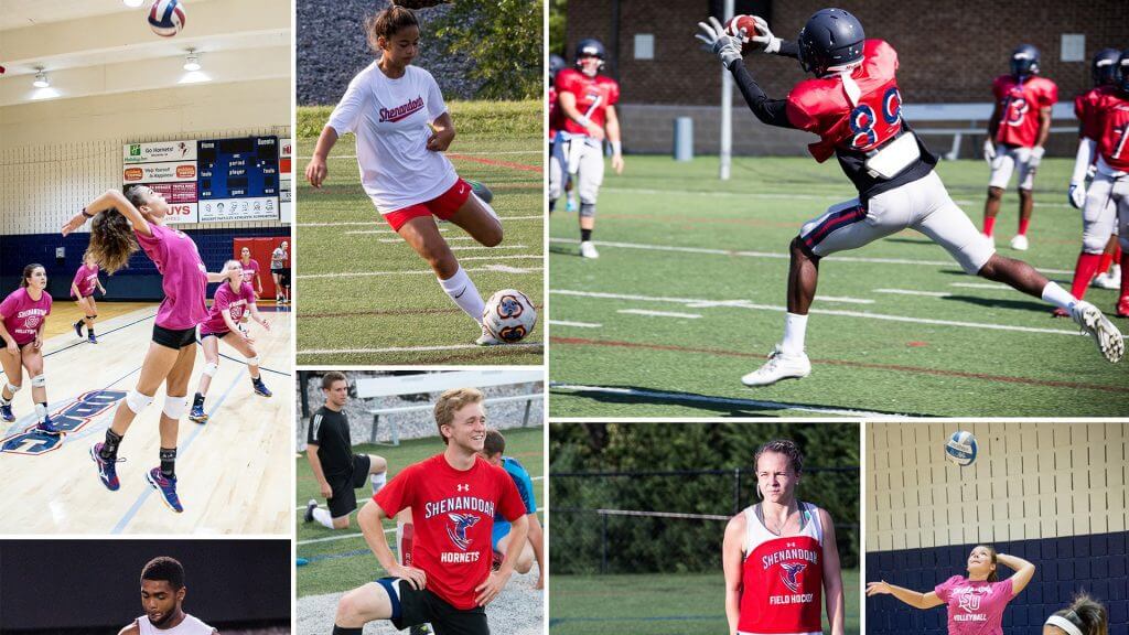 2016 Fall Sports Preview