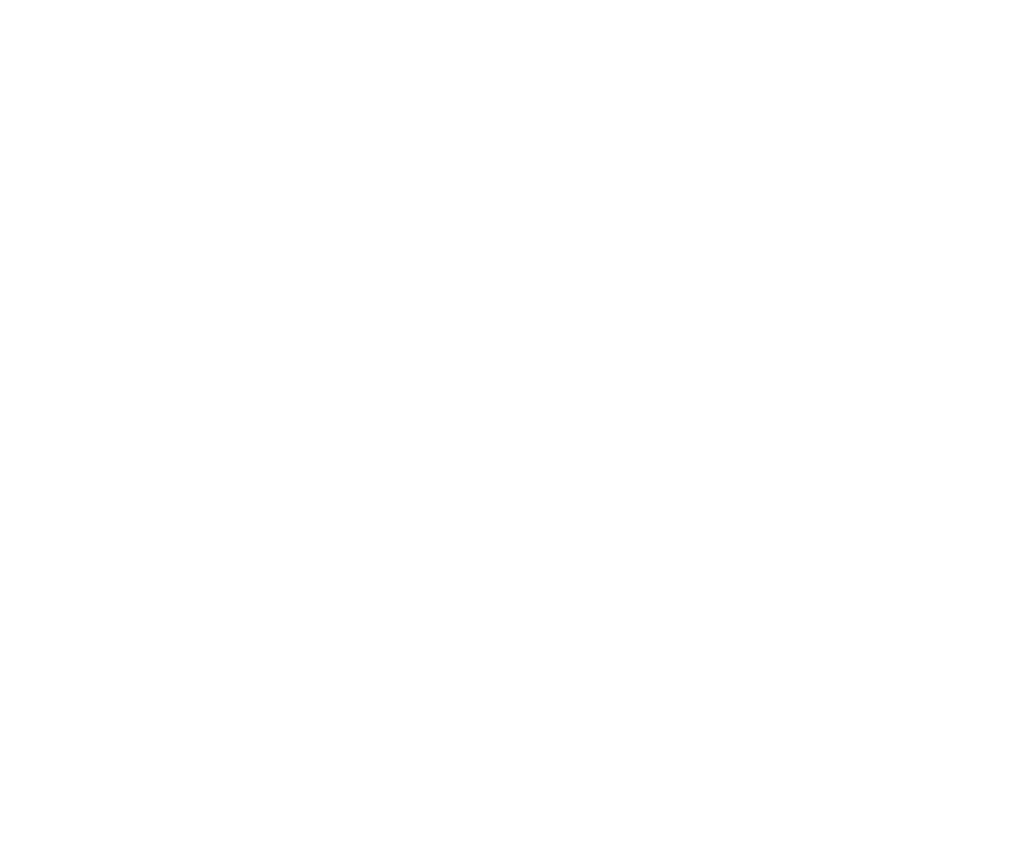 Fys logo