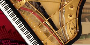 Steinway Grand D