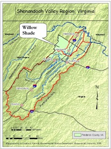 Willow Shade Big Map