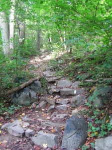 Appalachian Trail-N of Bears Den