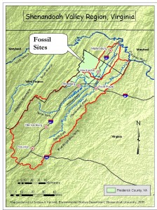 Fossil Sites Big Map
