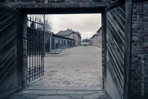 Auschwitz featured image for Schweitzer faculty news book entry