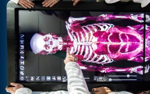 Anatomage virtual dissection table makes it easier for Shenandoah health professions student to understand the body.