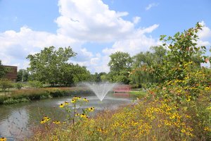 Shenandoah University campus photo showing ponds foundain and Ruebush Hall rear