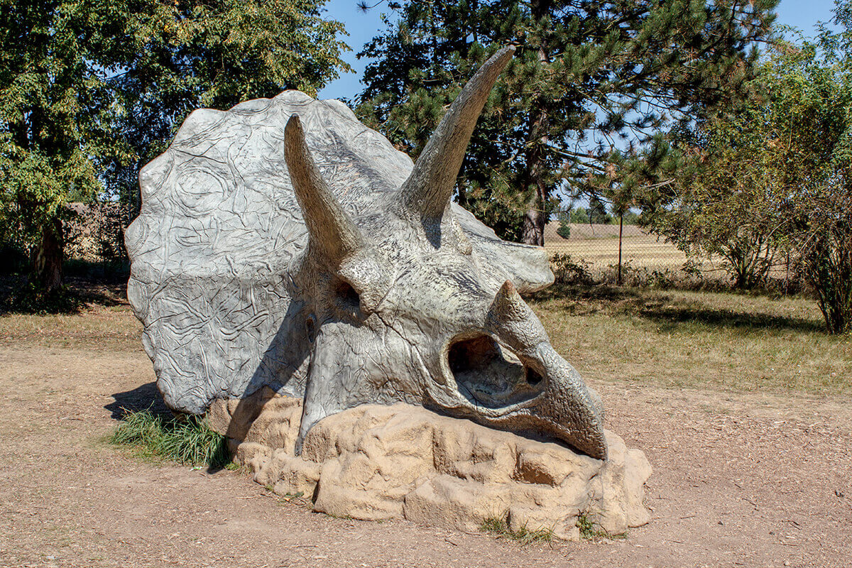 SU Hosts ‘Discoveries of a Triceratops and T. rex Dinosaur Hunter’ Annual Warrington Science Symposium Features Paleontologist John W. Happ, April 18 