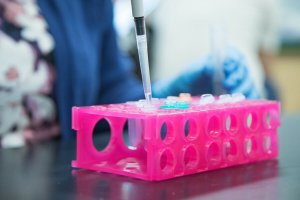 Shenandoah University biology lab photo of test tubes in pink holder.