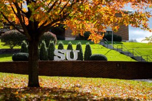 Shenandoah University main campus, Winchester, Virginia; SU statue amid fall foliage.