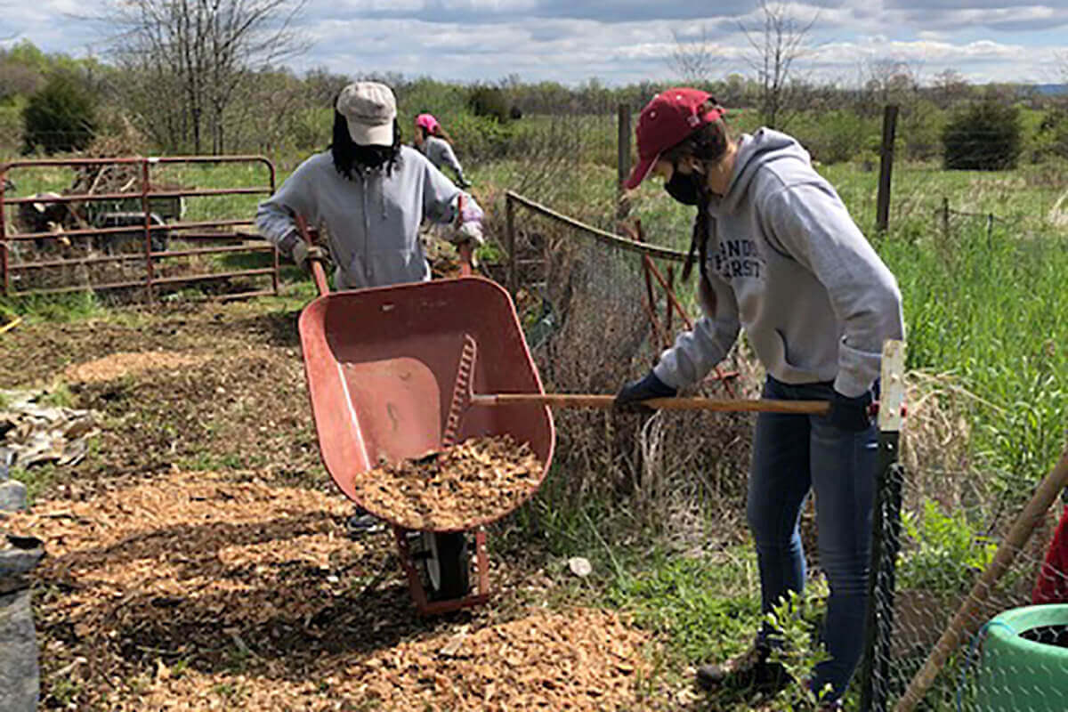 Celebrating National Volunteer Week Looking back at all of the amazing service that our students, faculty, and staff have put forward during the 2020-2021 school year