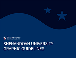 2021 Graphic Standard Guide