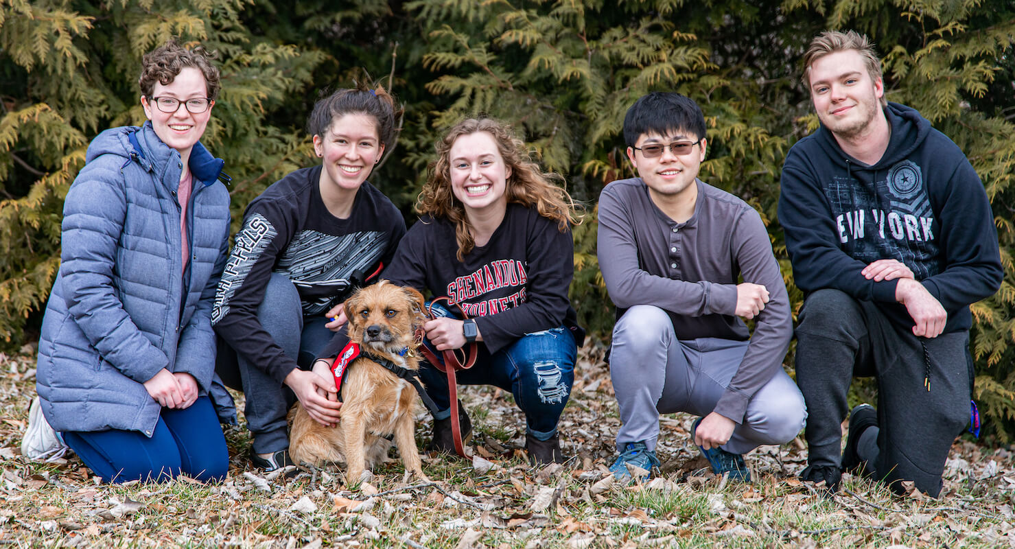 Psychology Class Provides Training For Shelter Dogs Behavior Modification course project aims to increase dogs’ chances of adoption through obedience training
