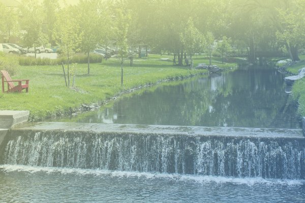 Summer Programs 2022