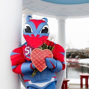 Buzzy on Valentine's Day