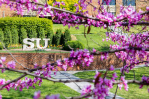 Shenandoah University "SU" statue, with pink/purple tree blossoms in foreground.