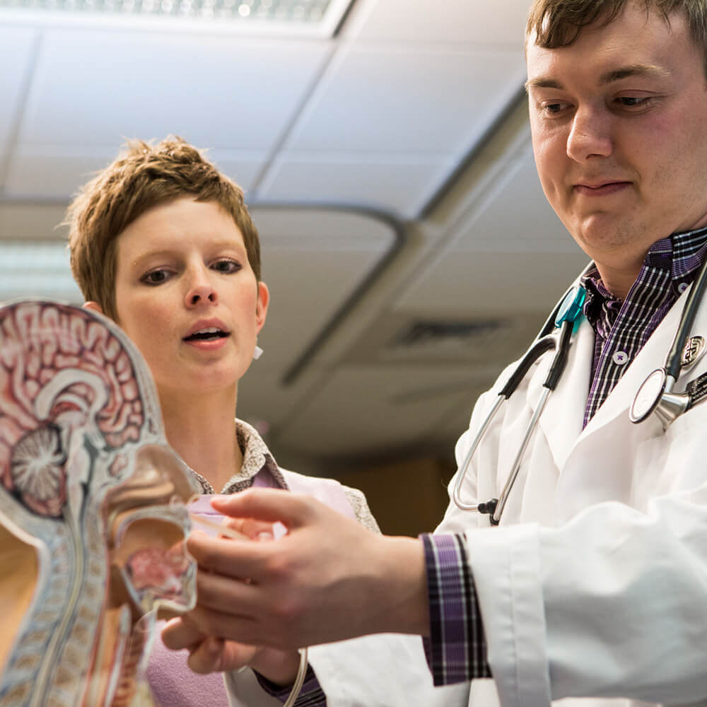Health professions students