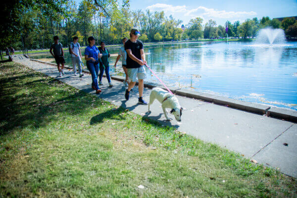 A group of students and staff walk dogs around Wilkins Lake.