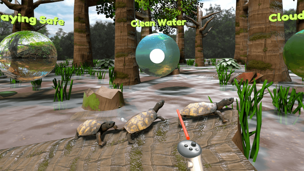 Screenshot of the Blue Ridge Wildlife Center: Wood Turtle Habitats" virtual reality experience.