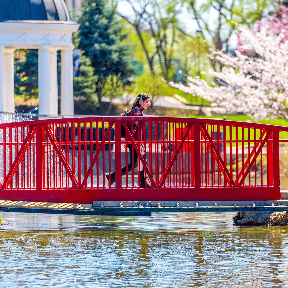 Student on a bridge